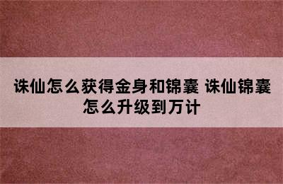 诛仙怎么获得金身和锦囊 诛仙锦囊怎么升级到万计